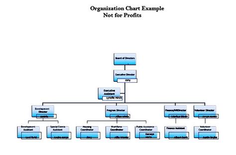 Non-Profit Organizational Chart | Organizational chart, Organization ...