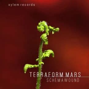Free Music Archive: Schemawound - Terraform Mars