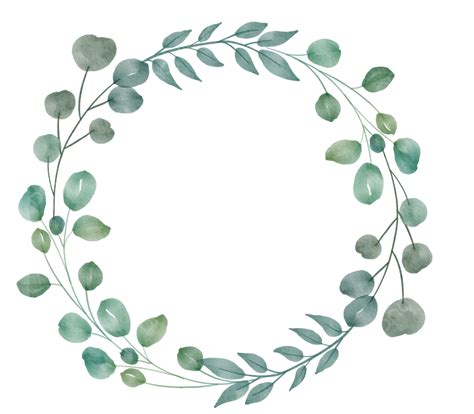 Watercolor Eucalyptus Leaves Wreath Illustration Green, Watercolor ...