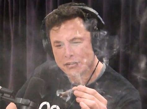 Elon Musk smokes a joint live on YouTube: Tesla CEO inhales marijuana ...