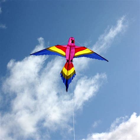 Bird Kite - Leading Edge Kites - Bird shaped single string kids kite