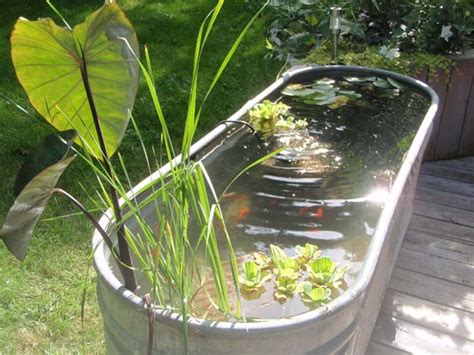 22 Small Garden or Backyard Aquarium Ideas