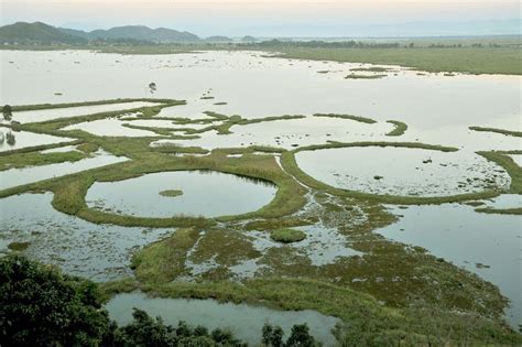 Floating Phumdis of Loktak Lake, India | Amusing Planet