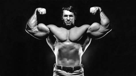 Arnold Schwarzenegger Bodybuilding Wallpapers - Top Free Arnold ...