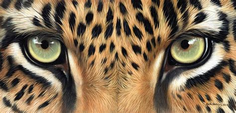 Top 139 + Prey animals eyes - Lestwinsonline.com