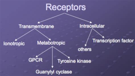 Introduction to Neurotransmitters and Receptors - PsychDB