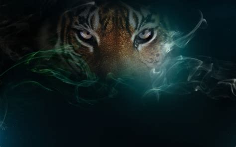 ~♥ Tiger ♥ ~ - Tigers Wallpaper (10309377) - Fanpop