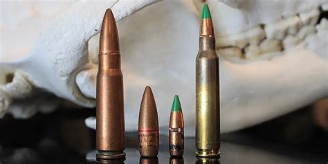 223/5.56 vs 7.62x39: What You Need To Know | Big Game Hunting Blog