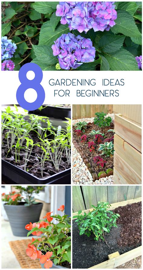 8 Easy Gardening Ideas for Beginners - Unskinny Boppy