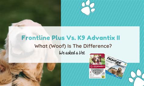 Frontline Vs Advantix: In-depth Comparison (We Asked A Vet)