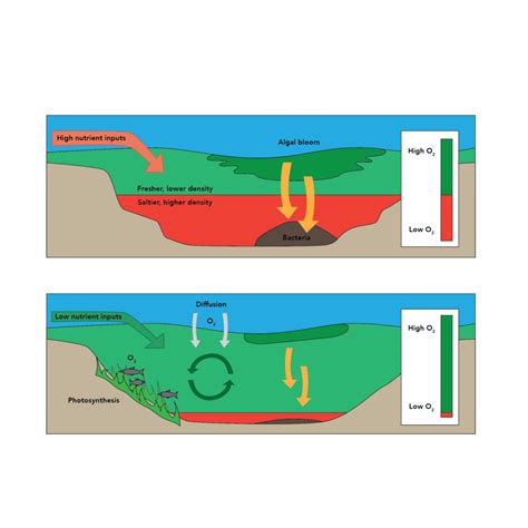 carbon dioxide Archives | Earth.Org