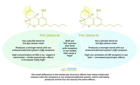 What is THC Delta-8? - Dockside Cannabis