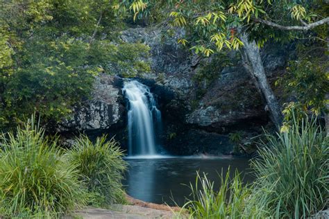 Chase A Handful Of Waterfalls - | Sunshine Coast Hinterland