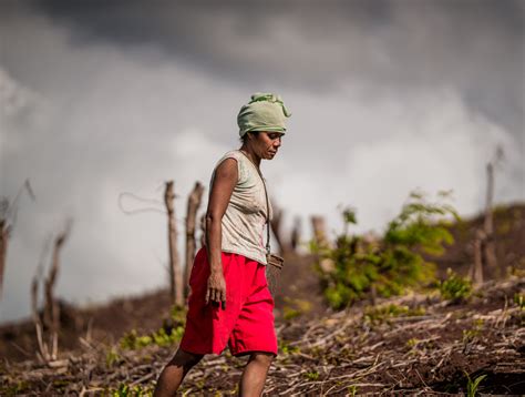 The effects of slash-and-burn and deforestation | Global Climate Change