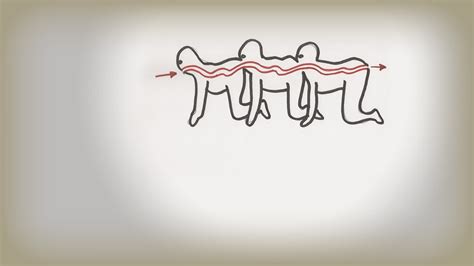 The Human Centipede (First Sequence) (2009) Full Movie