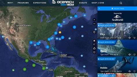 2018 - Ocearch