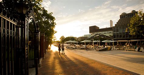 Summer Courses for Adult and College Students | Harvard Summer School