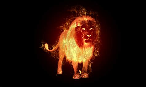 Fire Lion Wallpapers Top Free Fire Lion Backgrounds - Fire Lion (#2011931) - HD Wallpaper ...