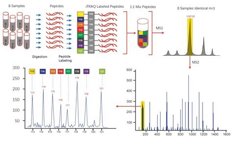 Techniques for Quantitative Proteomics