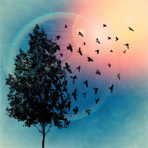 Download Tree, Birds, Bird. Royalty-Free Stock Illustration Image - Pixabay