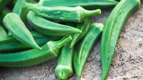 Okra For Diabetes Type 2 - DiabetesWalls