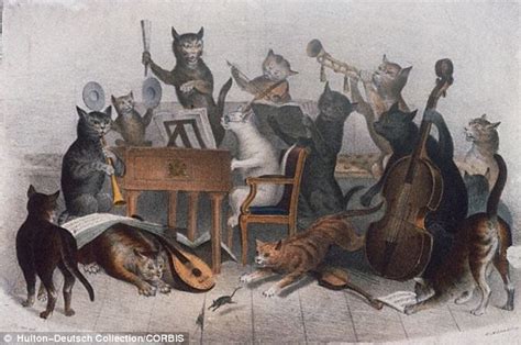 Wisconsin-Madison university scientists create 'Bach for CATS' music ...