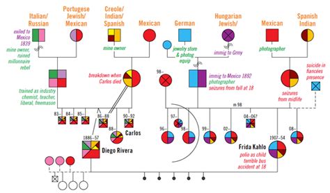 Kahlo Genogram Downloadable PDF – Multicultural Family Institute