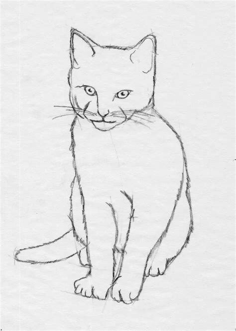 How to Draw Step-By-Step: Cats | Cat sketch, Cat drawing, Mermaid statues