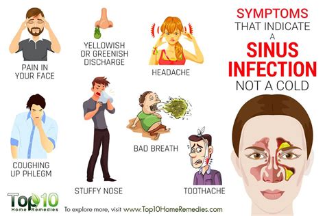 Symptoms that Indicate a Sinus Infection not a Cold | Top 10 Home Remedies