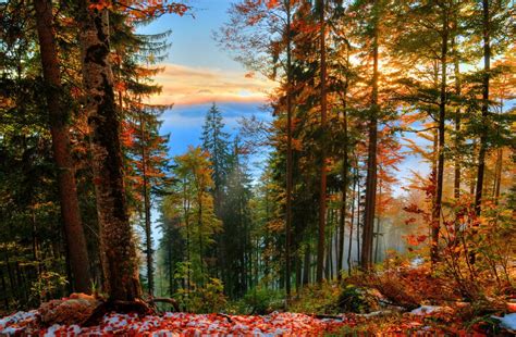 fall-nature-backgrounds-21319-hd-wallpapers - MAPS