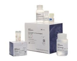 Protein Purification Reagents and Kits | Thermo Fisher Scientific