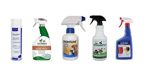 Best Flea Spray For The House | PestSeek