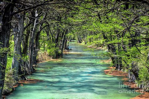 Medina River Photograph by David Meznarich - Fine Art America