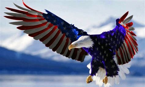 American Flag Bald Eagle Symbols Of America Hd Wallpaper - 1920x1080 Wallpaper - teahub.io