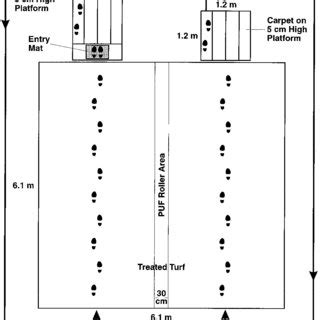 Schematic representation of one cycle of walking performed by one... | Download Scientific Diagram