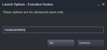 Executive Hockey Cheats - Magic Game World