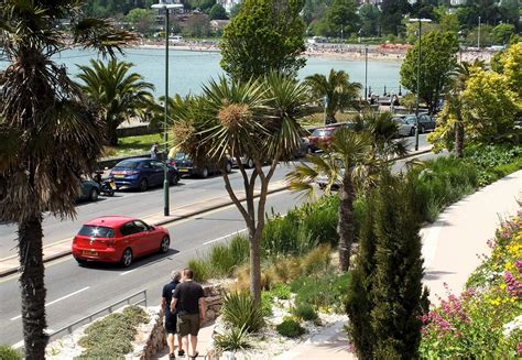 Torquay Beachfront | Photographs of palm trees on The Englis… | Flickr