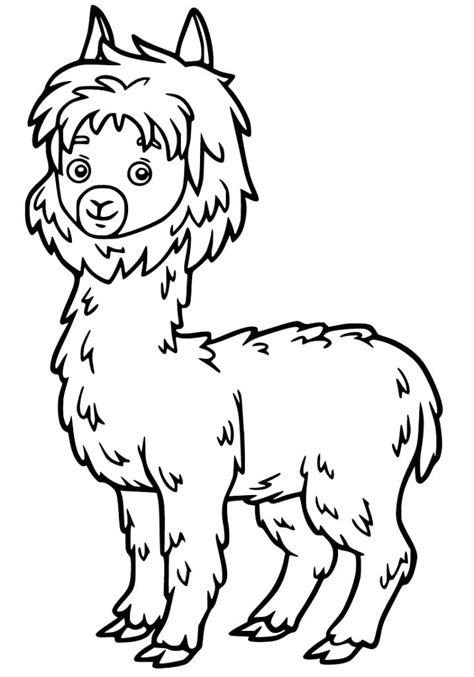 Mother and Baby Alpaca Coloring Page - Free Printable Coloring Pages for Kids