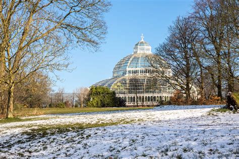 The Palm House - Liverpool’s Beloved Sefton Park Conservatory - Go Guides