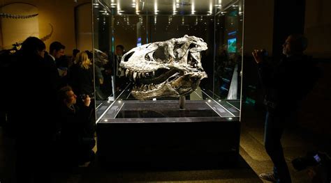 An impossible find: Fragments of dinosaur DNA may be preserved in pregnant T. rex -- Science ...