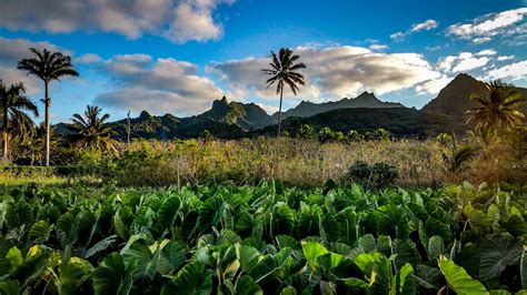 Rarotonga, Cook Islands | Island, Natural landmarks, Rarotonga