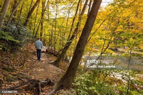 92 Wissahickon Valley Park Stock Photos, High-Res Pictures, and Images - Getty Images