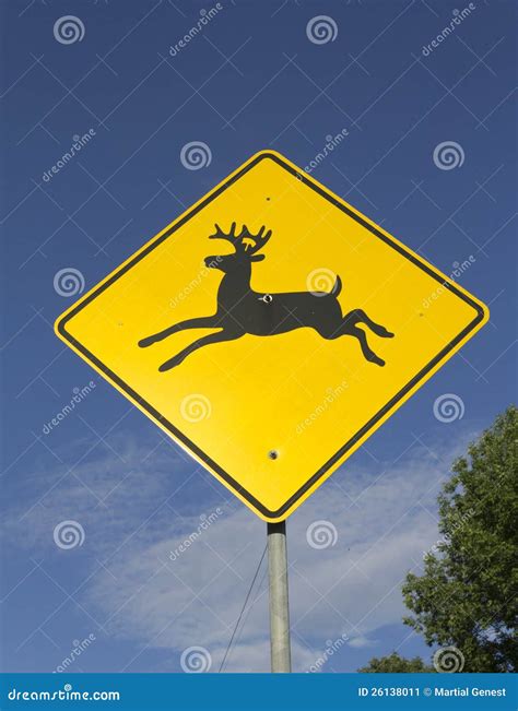 Wildlife Crossing Warning Sign Stock Image - Image of warning, sign: 26138011