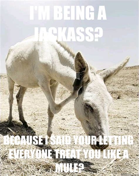 I'm being a Jackass? Because I said your letting everyone treat you ...