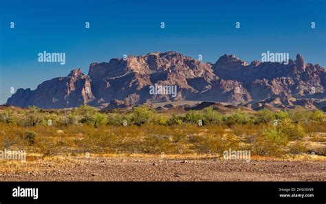 Kofa Mountains, view at sunrise from King Road in King Valley, Sonoran Desert, Arizona, USA ...