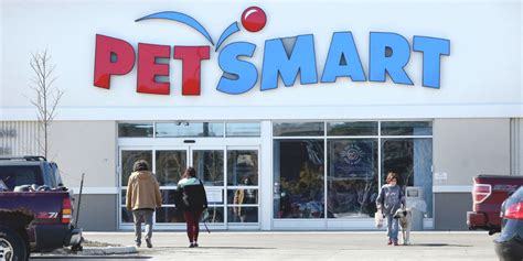 PetSmart Grooming Prices (2023 Updated) – Discovering Employment Paths and Travel Experiences