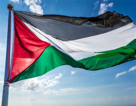 Premium AI Image | The National Flag of Palestine