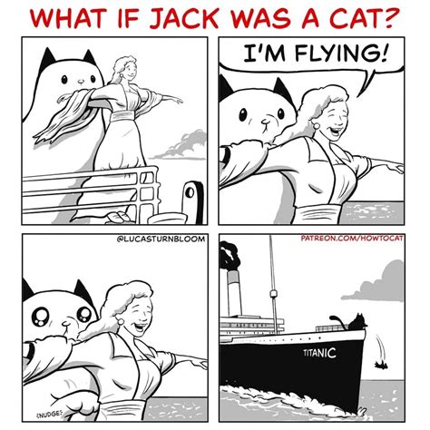 Titanic cat.... ooops, overboard! in 2020 | How to cat, Funny cats, Crazy cats