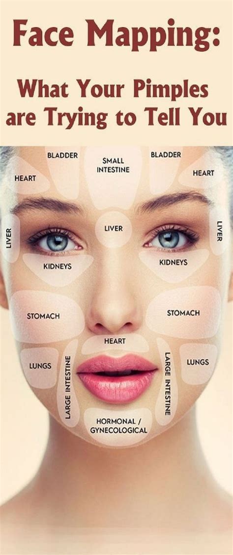 FACE MAPPING: WHAT YOUR PIMPLES ARE TRYING TO TELL YOU | Face mapping ...