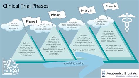 Phases Of Drug Trials